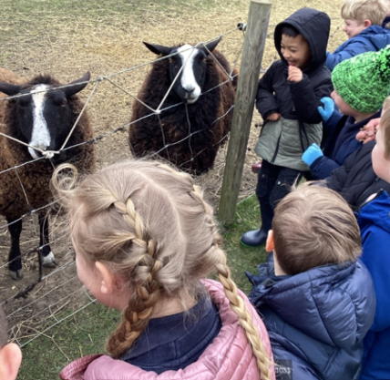 Y1 South Angle Farm Visit