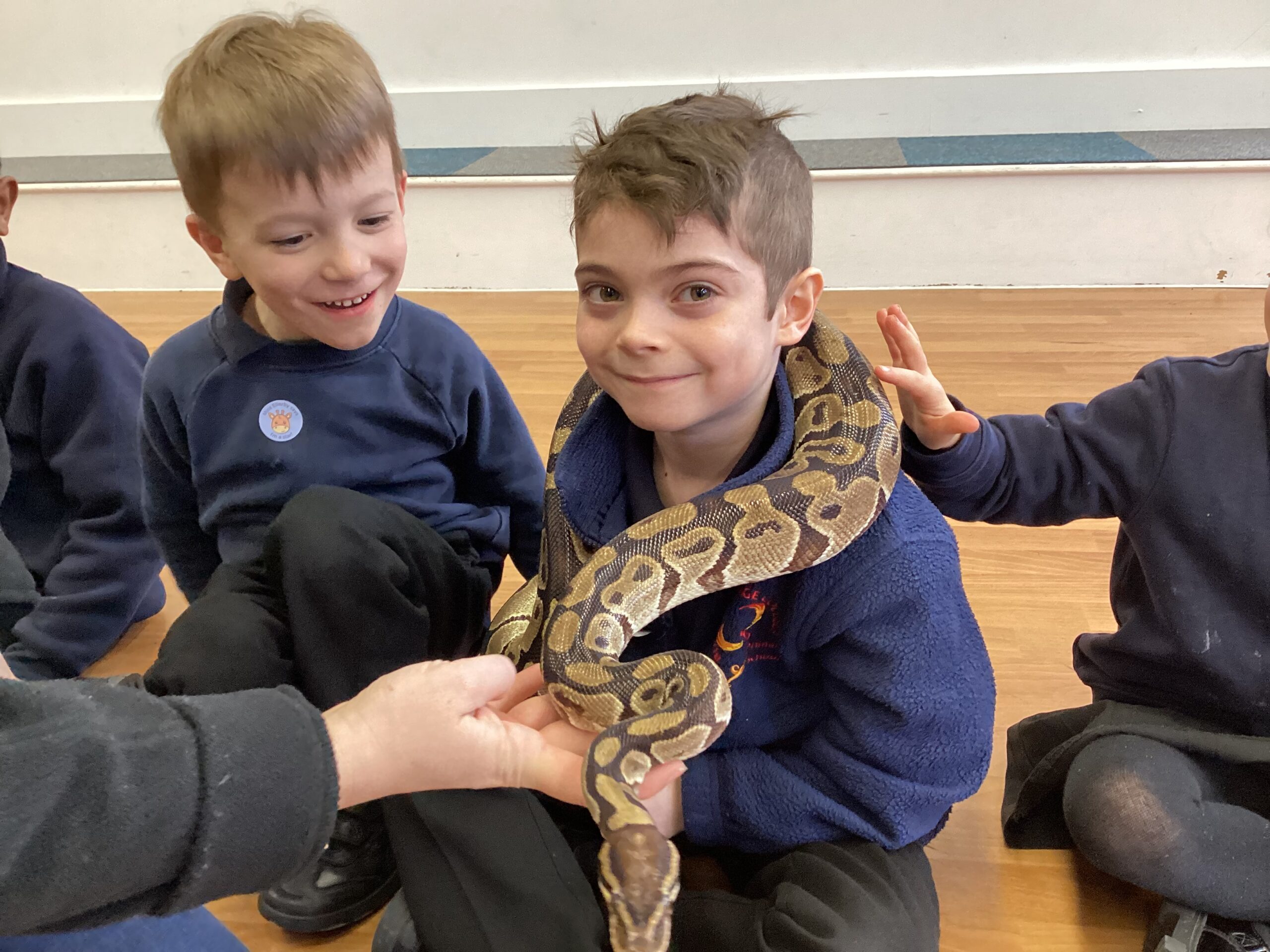 Y1 – The Animal Experience